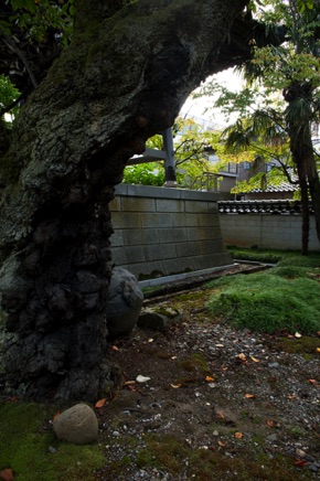 Kanazawa